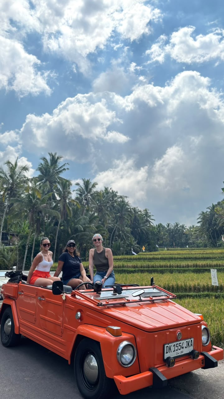 Bali: Private Full Day Classic VW Safari —Cultutal and Temple -Jatiluwih Rice Terrace
